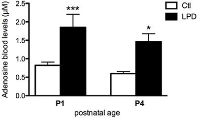 Modulation of Microglial Activation by Adenosine A2a Receptor in Animal Models of Perinatal Brain Injury